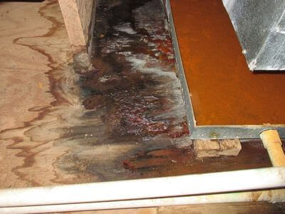 About Your Local Water Damage Restoration Company - water damage restoration experts in Alpine	AL